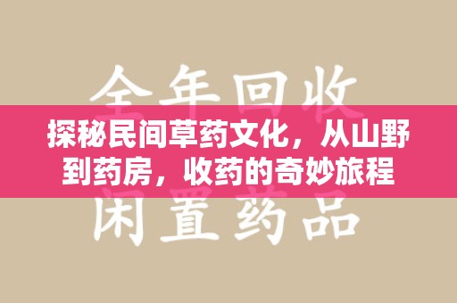 青岛探秘民间草药文化，从山野到药房，收药的奇妙旅程