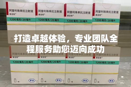 青岛打造卓越体验，专业团队全程服务助您迈向成功